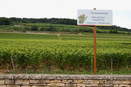 Clos de Tart 14.8.2010