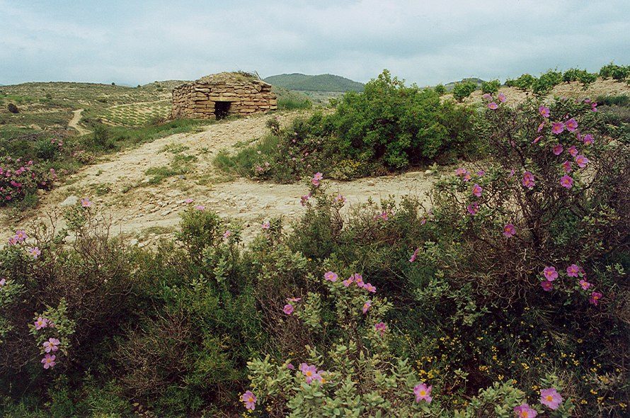 cesta do Viany, 17.5.2000